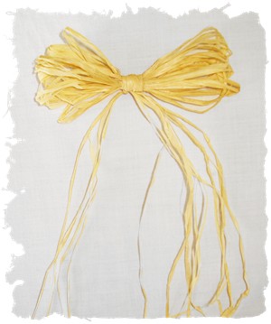 300xNxhow_to_make_a_bow_raffia.jpg.pagespeed.ic.x0yrjQALem.jpg