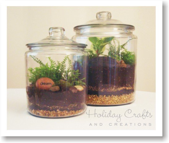 how to make a terrarium how to make a terrarium