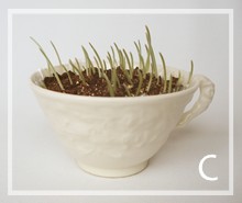 teacup crafts