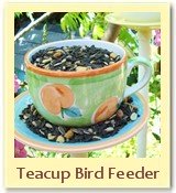 Easy to Make Bird Feeder