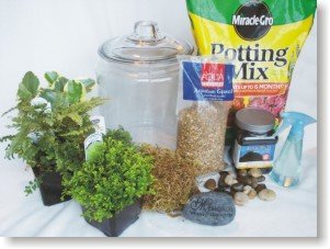 How To Make A Terrarium